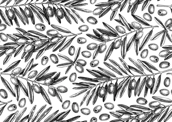 Olive branch seamless pattern. Vector background with leaves and fruits sketches in vintage style. Vegetable oil ingredients texture. Olive plant illustration for print or packaging design